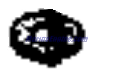 Evinrude Johnson OMC Evinrude Johnson OMC OMC0343615
0343615