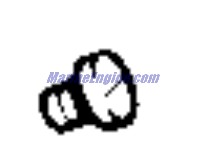 Evinrude Johnson OMC 0343929 - Screw Assembly