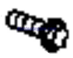 Evinrude Johnson OMC 0344038 - Screw
