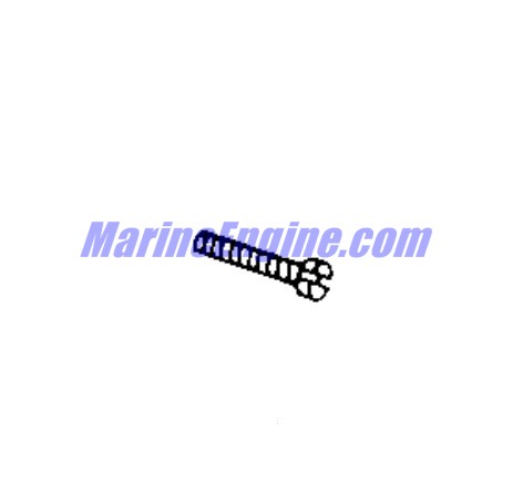 Evinrude Johnson OMC 0344455 - Screw