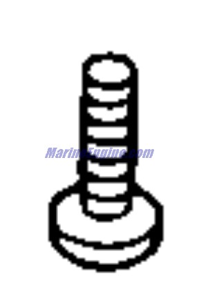 Evinrude Johnson OMC 0344706 - Screw