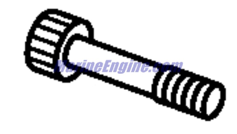 Evinrude Johnson OMC 0344722 - Screw