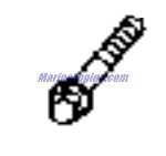 Evinrude Johnson OMC 0344916 - SCREW