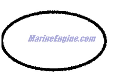 Evinrude Johnson OMC Evinrude Johnson OMC OMC0346479
0346479
