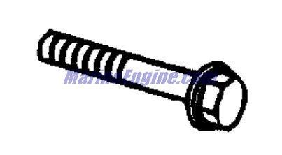 Evinrude Johnson OMC 0348449 - Screw, Motor Mount
