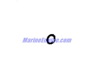 Evinrude Johnson OMC 0348496 - O-Ring