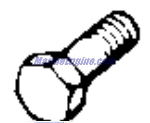 Evinrude Johnson OMC 0349873 - Screw