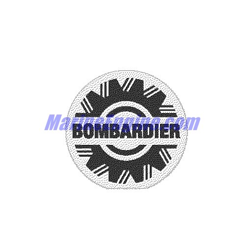 Evinrude Johnson OMC Evinrude Johnson OMC OMC0350304
0350304
