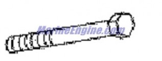Evinrude Johnson OMC 0350988 - Screw