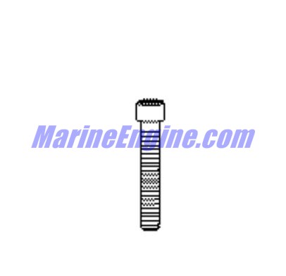 Evinrude Johnson OMC 0350992 - Screw