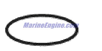 Evinrude Johnson OMC Evinrude Johnson OMC OMC0351037
0351037