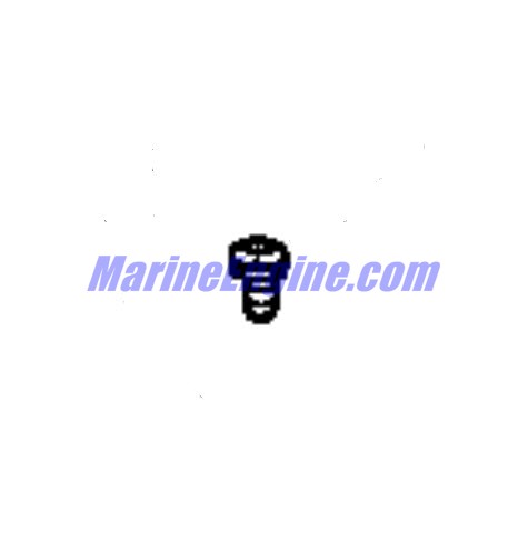 Evinrude Johnson OMC 0351138 - Screw