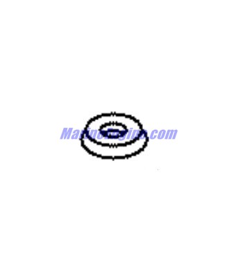 Evinrude Johnson OMC 0351146 - Washer