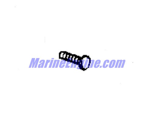 Evinrude Johnson OMC 0351153 - Screw