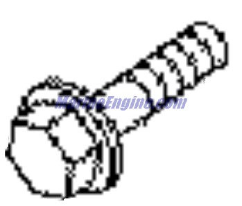 Evinrude Johnson OMC 0351269 - Screw