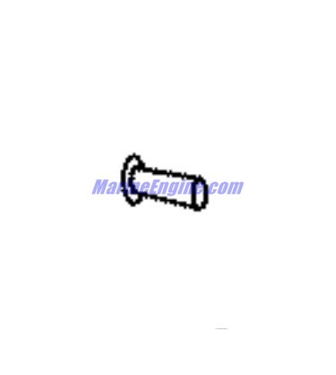 Evinrude Johnson OMC 0351291 - Plug, Finishing