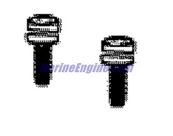 Evinrude Johnson OMC 0351618 - Screw