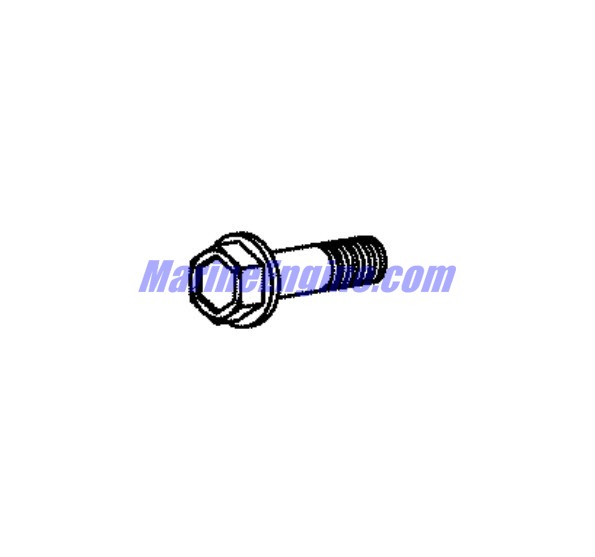 Evinrude Johnson OMC 0351839 - Screw