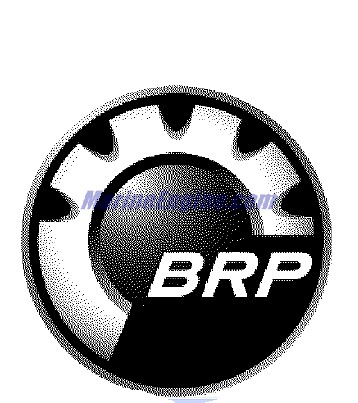 Evinrude Johnson OMC Evinrude Johnson OMC OMC0352505
0352505