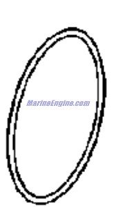 Evinrude Johnson OMC 0392265 - O-Ring Assembly