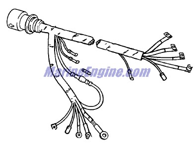 Evinrude Johnson OMC Evinrude Johnson OMC OMC0395253
0395253