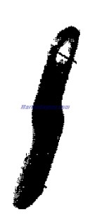 Evinrude Johnson OMC 0431839 - Throttle Arm Assembly