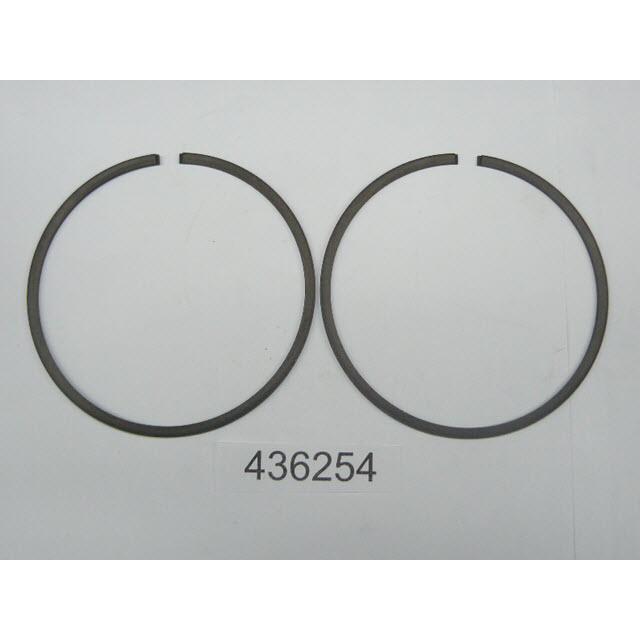 Evinrude Johnson OMC 0436254 - Piston Ring Set, Standard