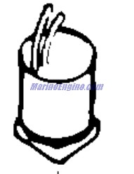 Evinrude Johnson OMC Evinrude Johnson OMC OMC0437236
0437236