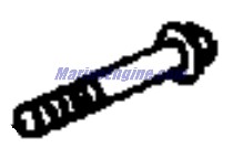 Evinrude Johnson OMC Evinrude Johnson OMC OMC0441161
0441161