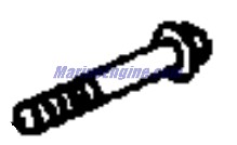 Evinrude Johnson OMC 0441161 - SCREW,