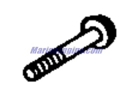 Evinrude Johnson OMC 0441162 - SCREW,