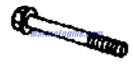 Evinrude Johnson OMC 0446120 - SCREW,