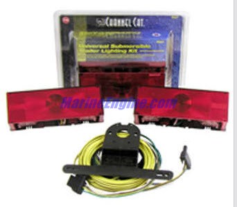Evinrude Johnson OMC Evinrude Johnson OMC OMC0500972
0500972