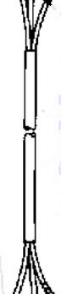 Evinrude Johnson OMC 0583956 - Cable Assembly