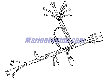 Evinrude Johnson OMC Evinrude Johnson OMC OMC0584169
0584169