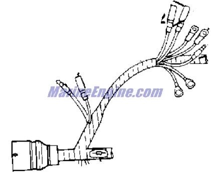 Evinrude Johnson OMC Evinrude Johnson OMC OMC0584579
0584579