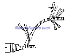 Evinrude Johnson OMC Evinrude Johnson OMC OMC0585085
0585085