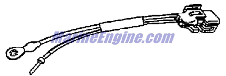 Evinrude Johnson OMC 0586029 - Connector & Lead Assembly