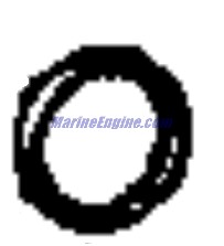 Evinrude Johnson OMC 0911012 - O-Ring