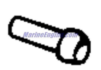 Evinrude Johnson OMC 0912043 - Ball Guide