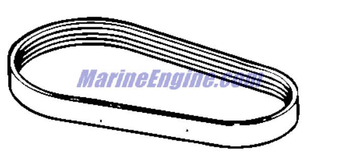 Evinrude Johnson OMC 0912062 - Belt
