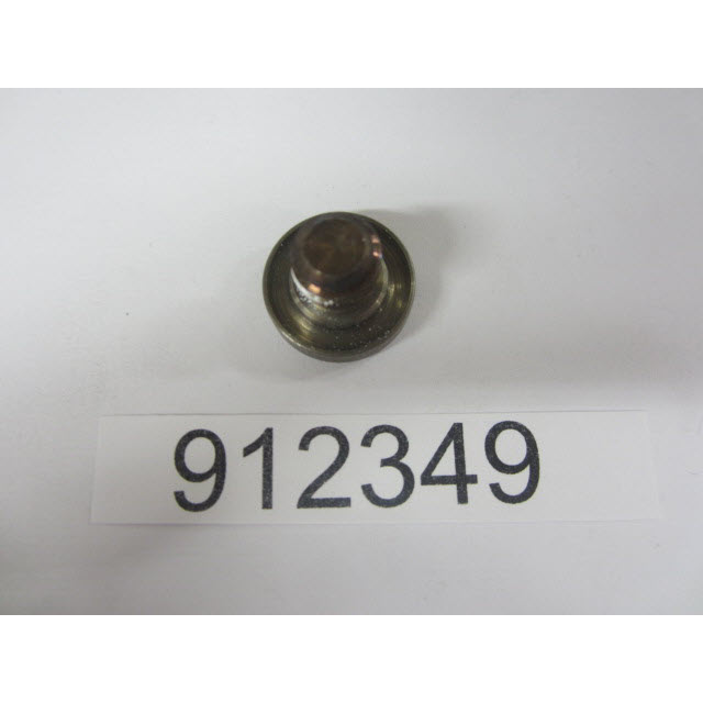 Evinrude Johnson OMC 0912349 - Water Passage Plug
