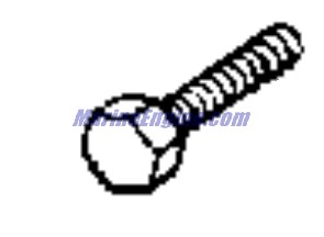 Evinrude Johnson OMC 0912524 - Screw