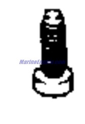 Evinrude Johnson OMC 0913396 - Screw, Steering Arm