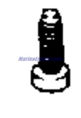Evinrude Johnson OMC 0913396 - Screw