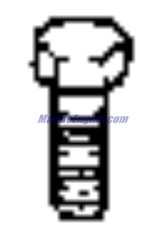 Evinrude Johnson OMC 0959968 - Screw