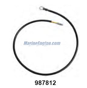 Evinrude Johnson OMC 0987812 - Lead Assembly, 2 Terminal