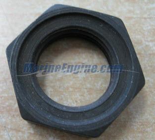 Evinrude Johnson OMC 3851003 - Nut