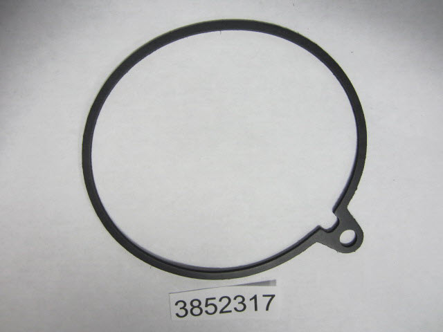 Evinrude Johnson OMC 3852317 - Gasket