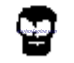 Evinrude Johnson OMC 3852462 - Fitting